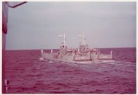 zan31mini